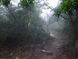 Spring Hiking 1010